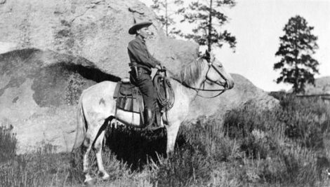 Meeting Nature as a Presence